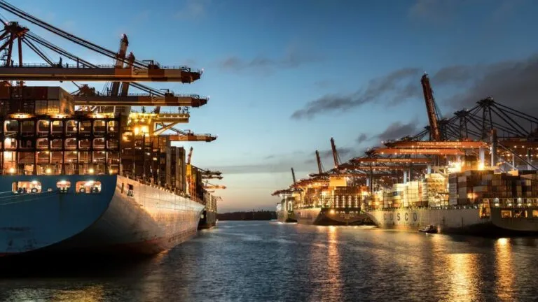 10 Critical Reasons Centralized Customs Clearance Platforms Prevail