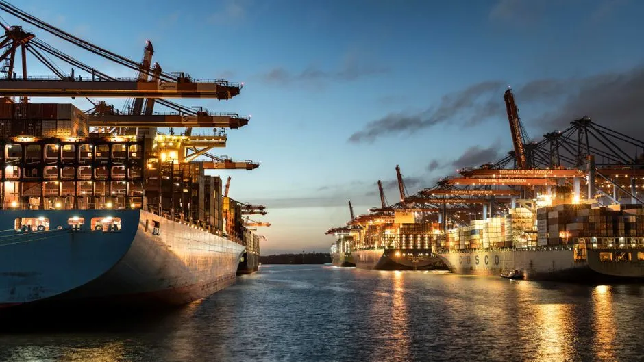 centralized customs clearance platforms